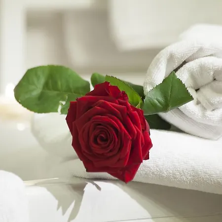 Myapart 1709 Apartman *