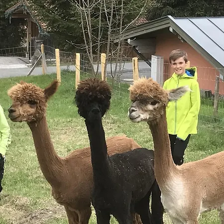 Myapart 1709 Apartman