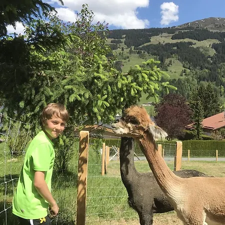 Apartman Myapart 1709 Jochberg